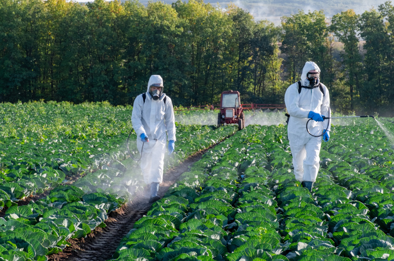 Farmer sprühen Pestizide auf ihr Feld