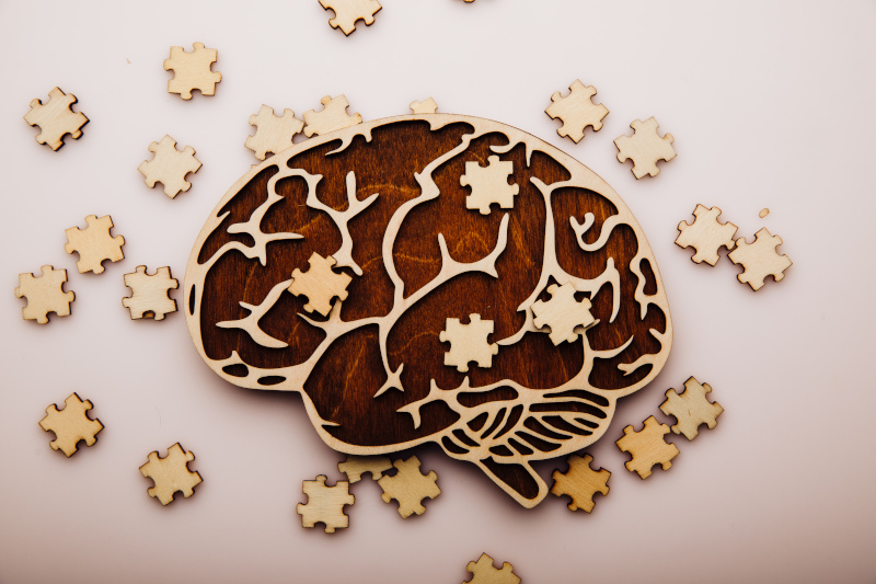 Ein Gehirn aus Holz, das sich aus Puzzleteilen zusammensetzt.
