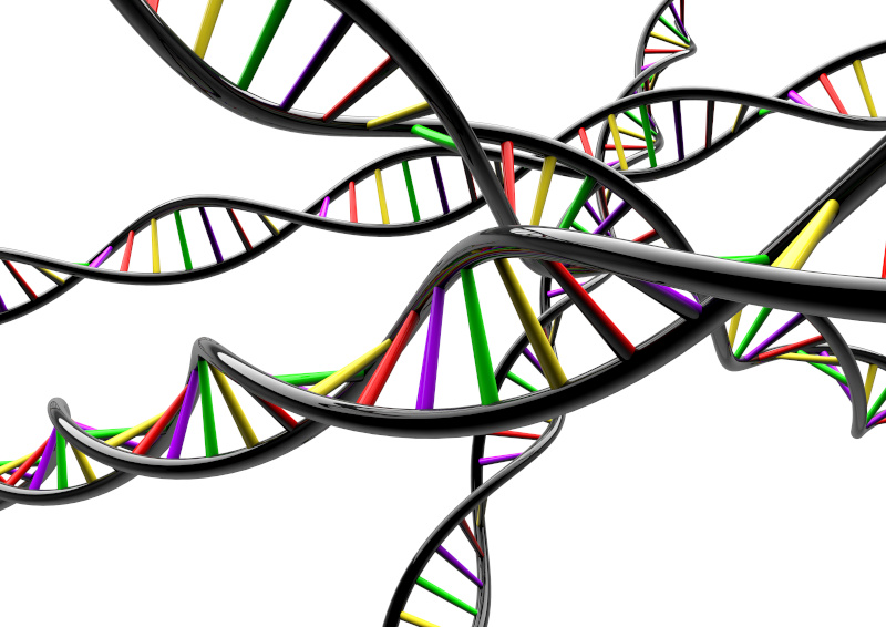 DNA Strang auf weißem Hintergrund