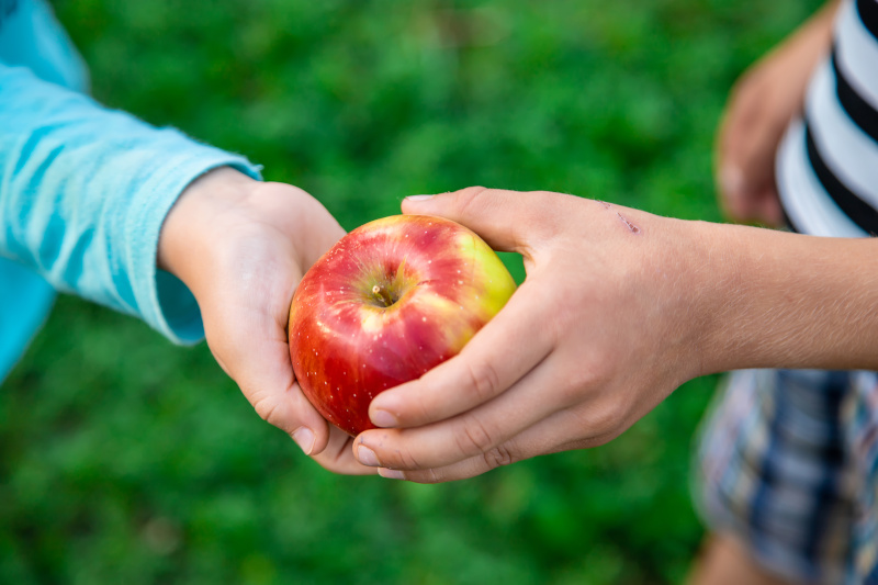 Zwei Kinderhände, die sich einen Apfel reichen.