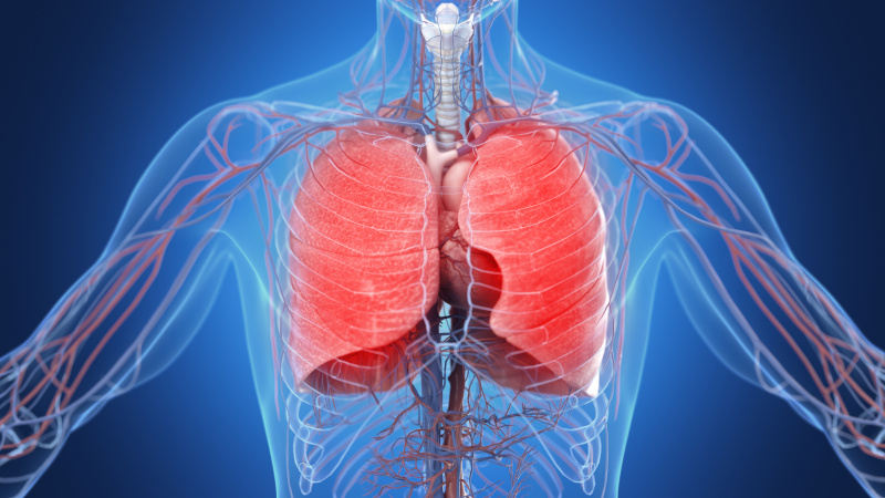 3D Illustration einer entzündeten Lunge